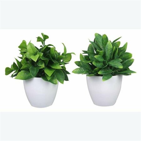 YOUNGS Artificial Plants in Planter - 2 Assorted 12597